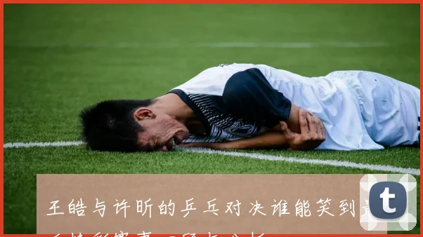 王皓与许昕的乒乓对决谁能笑到最后精彩赛事回顾与分析