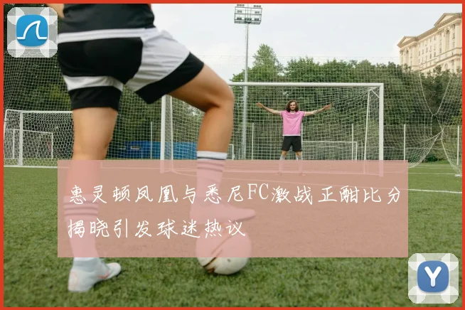 惠灵顿凤凰与悉尼FC激战正酣比分揭晓引发球迷热议