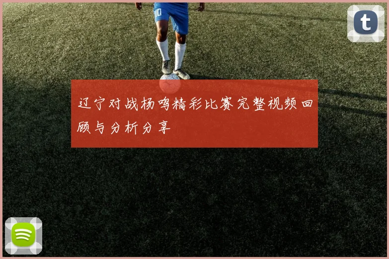 辽宁对战杨鸣精彩比赛完整视频回顾与分析分享