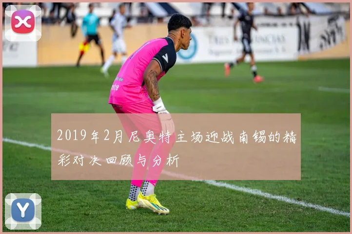 2019年2月尼奥特主场迎战南锡的精彩对决回顾与分析