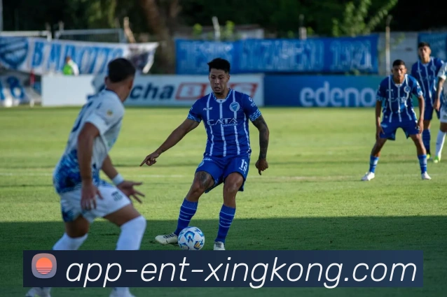 星空体育平台生态图