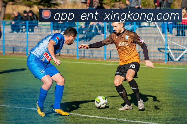 星空体育APP 封面图