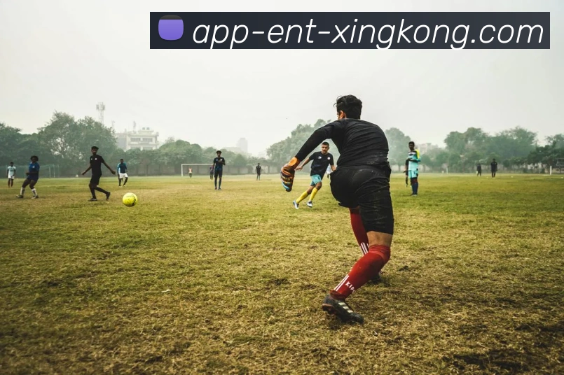 星空体育全站App